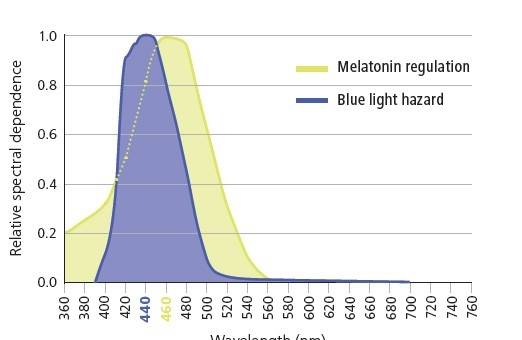 zeiss duravision blueprotect blue light blocking glasses in Laguna Beach